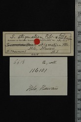 To ANSP Malacology Collection (syntypes of Solecardia stigmatica. Pilsbry, 1921. Proceedings of the Academy of Natural Sciences of Philadelphia 72 (3): 325, fig. 7  - catalog no. 116101)