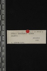 To ANSP Malacology Collection (holotype of Mysella negritensis. Olsson, 1961. Mollusks of the Tropical Eastern Pacific : 234, pl. 35, fig. 8 - catalog no. 218889)